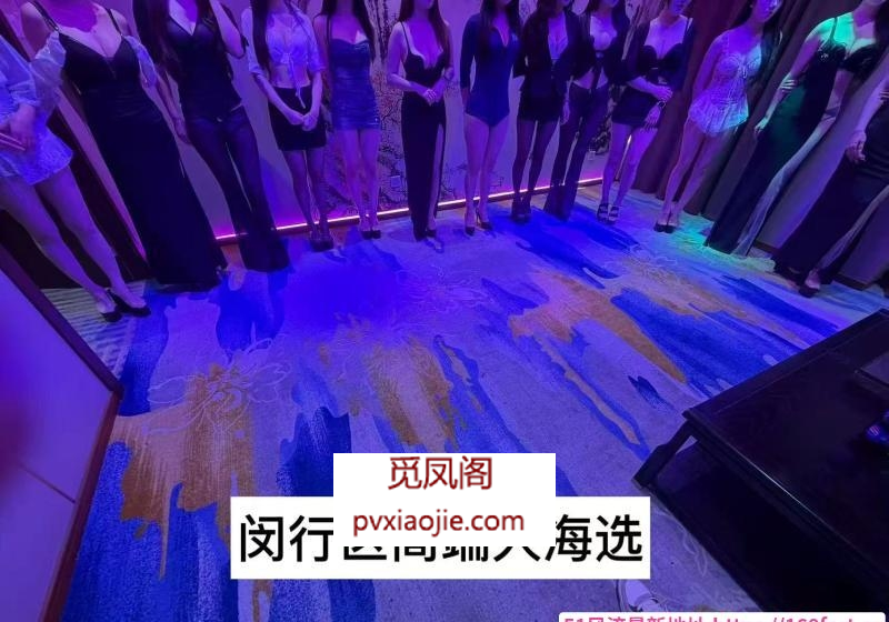 上海闵行高端海选4T