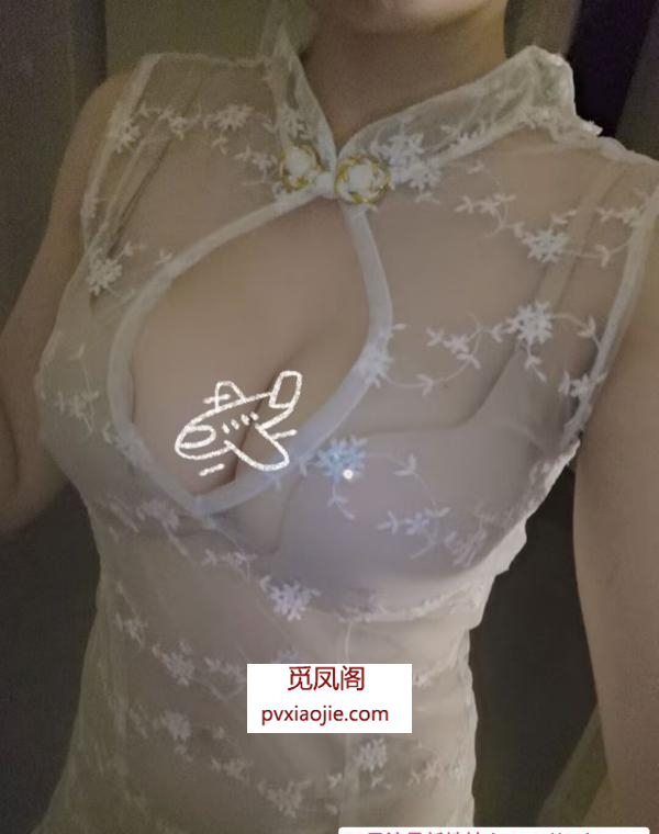 高新九儿