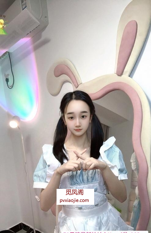 后入双马尾小妖精